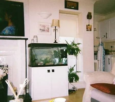 Bed & Breakfast Forest View Newtown Forbes